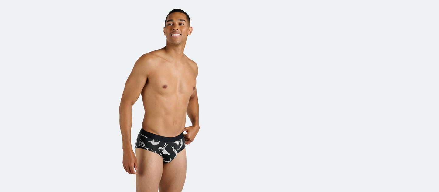 UltraModal™ Core Brief | Zero