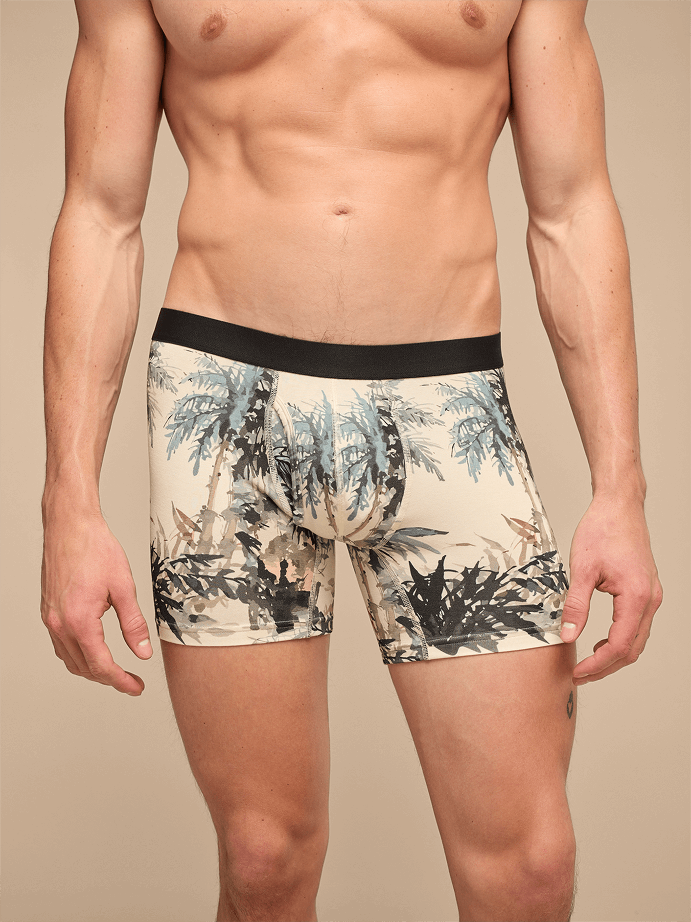 UltraModal™ Core Boxer Brief w/ Fly 3-Pack | Castaway Pack