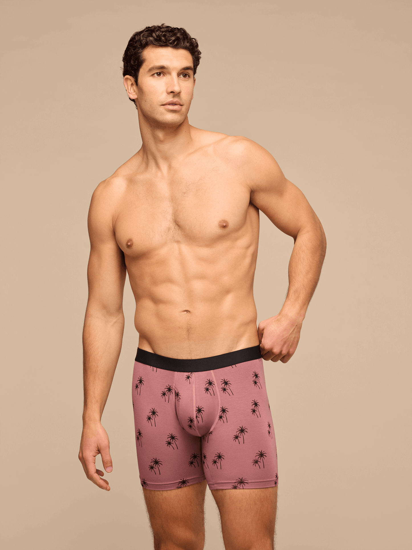 UltraModal™ Core Boxer Brief w/ Fly | Faded Palms