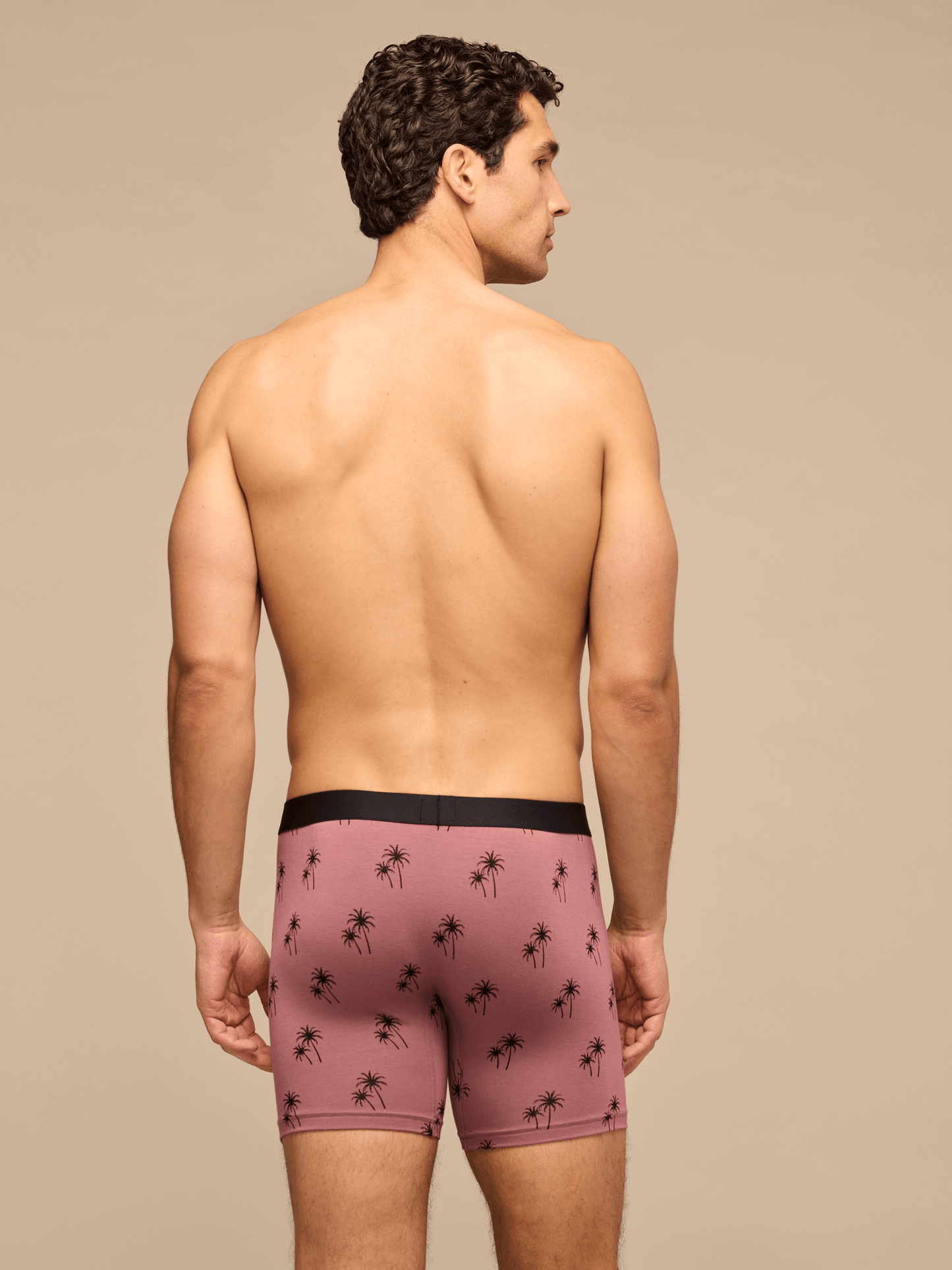UltraModal™ Core Boxer Brief w/ Fly | Faded Palms