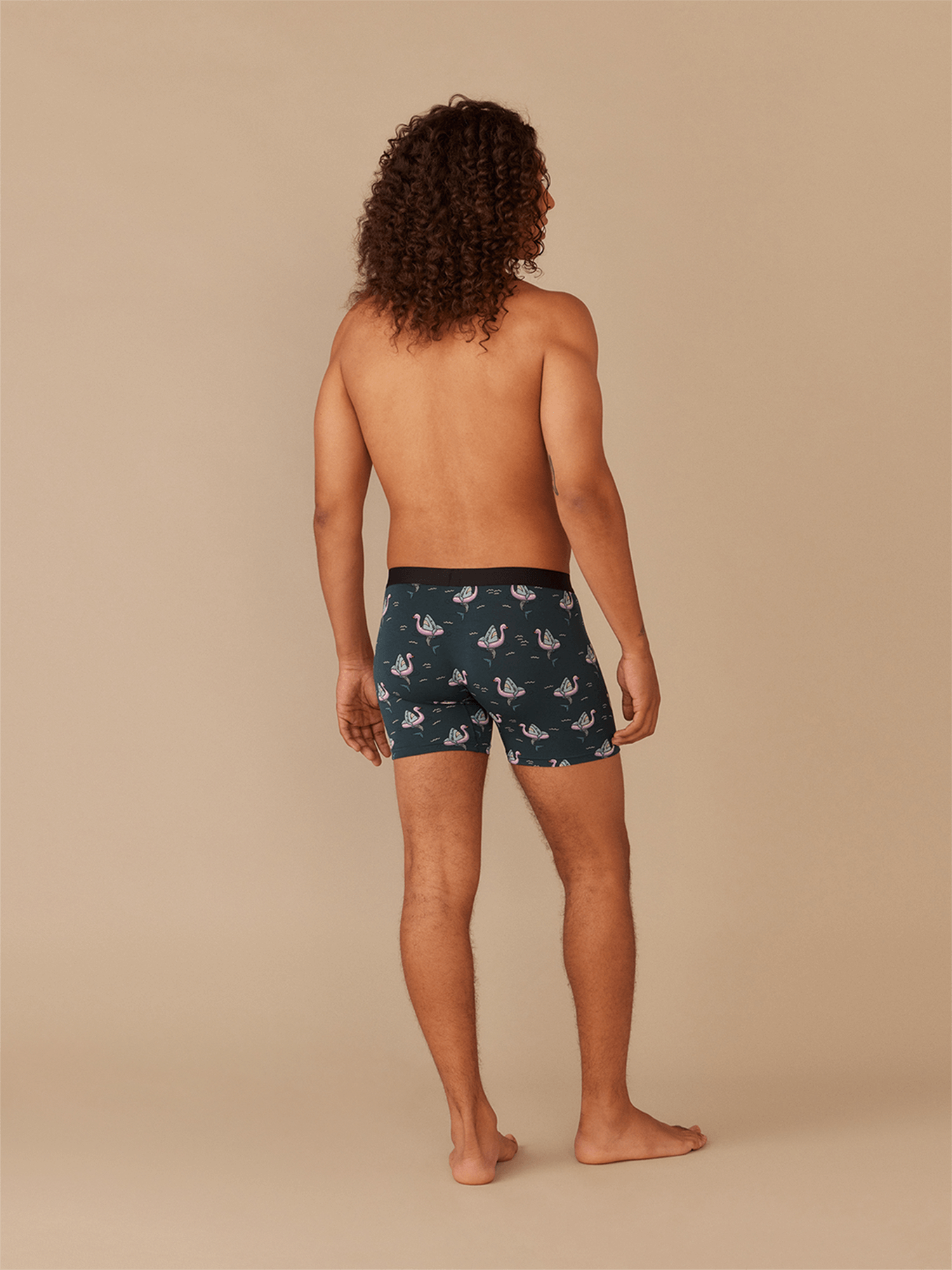 UltraModal™ Core Boxer Brief w/ Fly | Pool Sharks 2.0