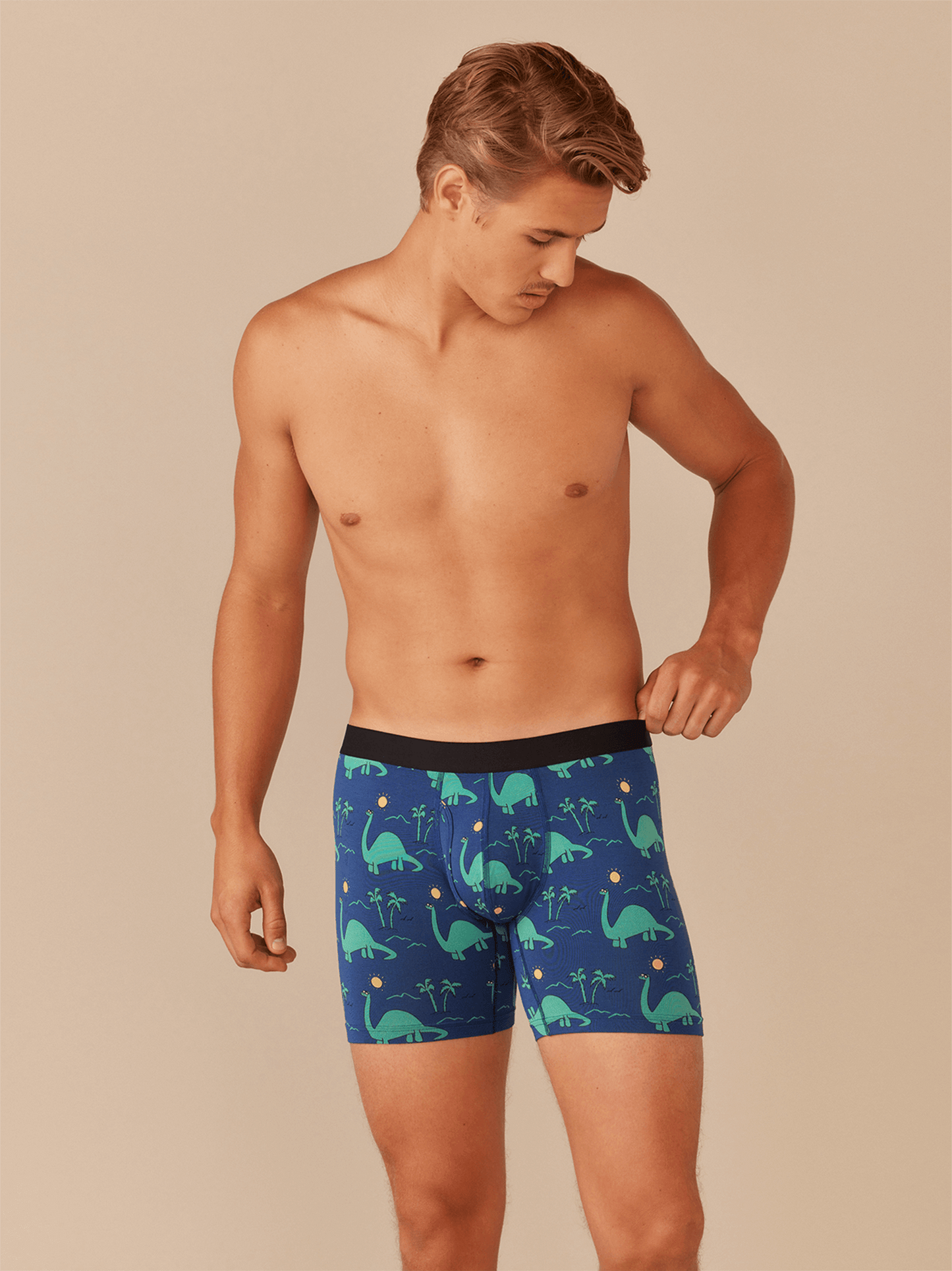 UltraModal™ Core Boxer Brief w/ Fly | Dino Shore