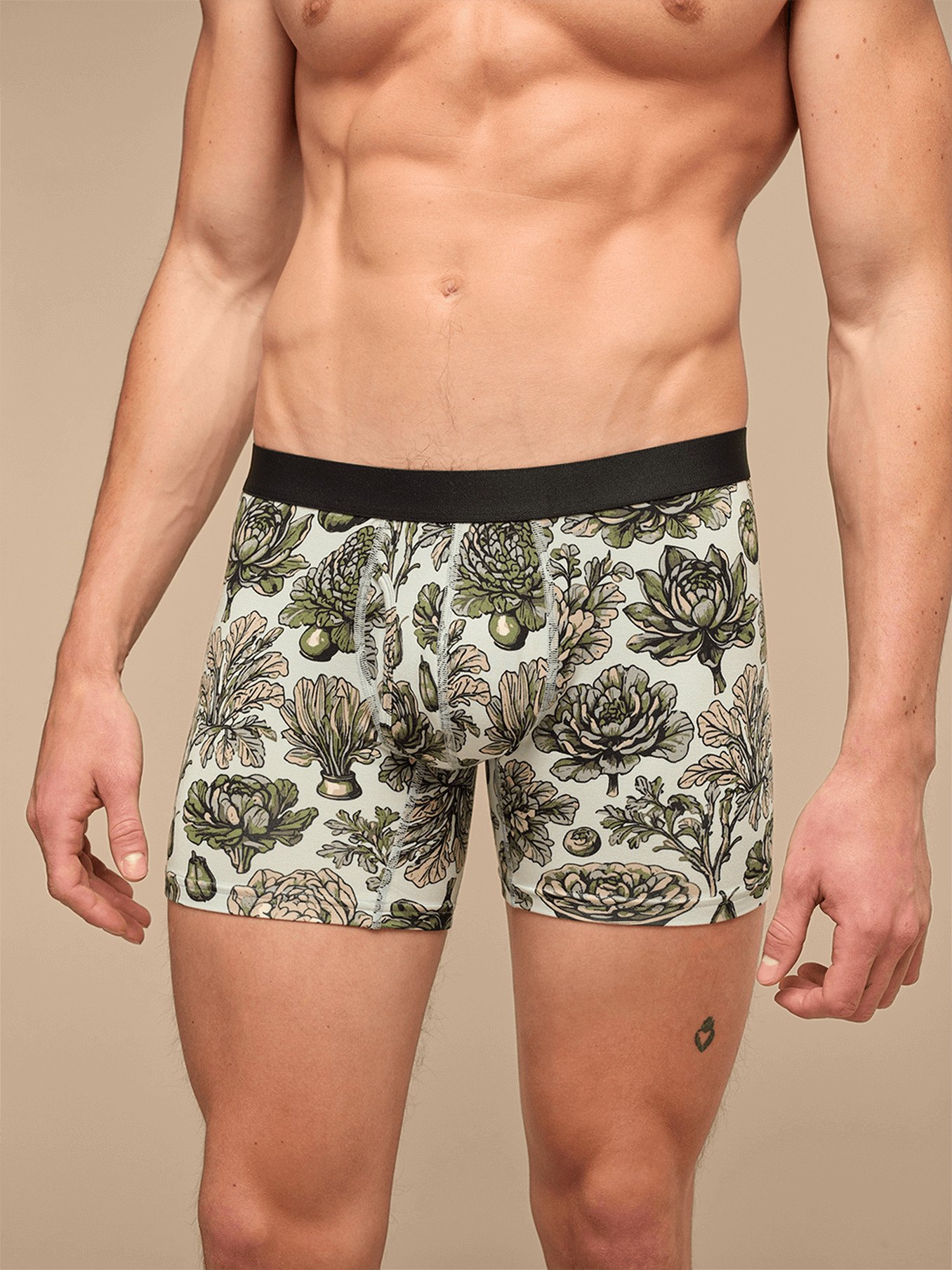 Boxer Brief w/ Fly 3-Pack | Seaside Garden Pack