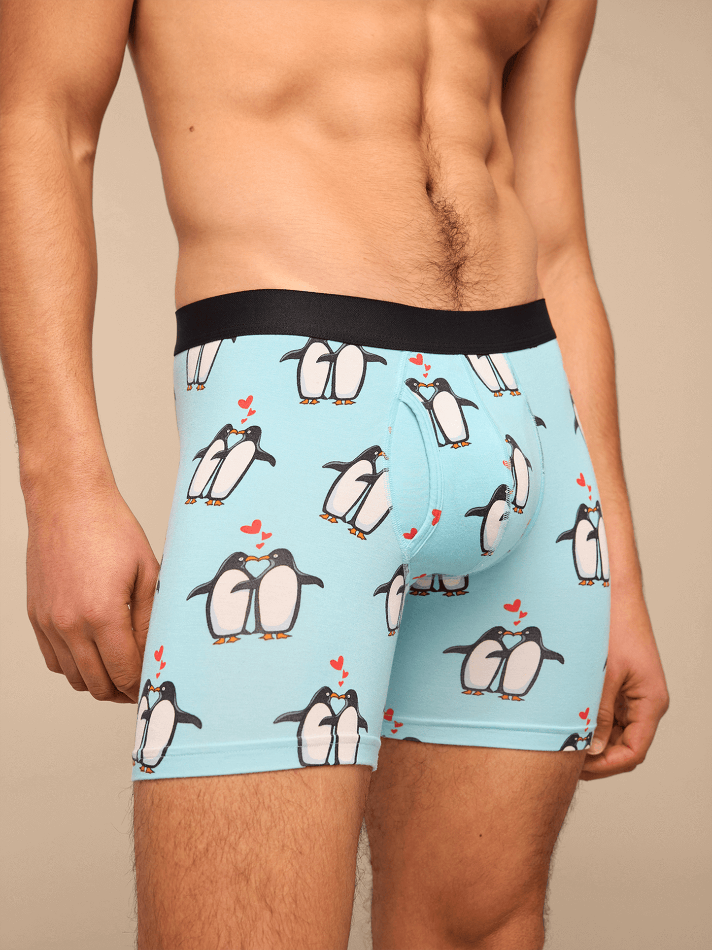 UltraModal™ Core Ball Caddy™ Boxer Brief w/ Fly | You're My Penguin
