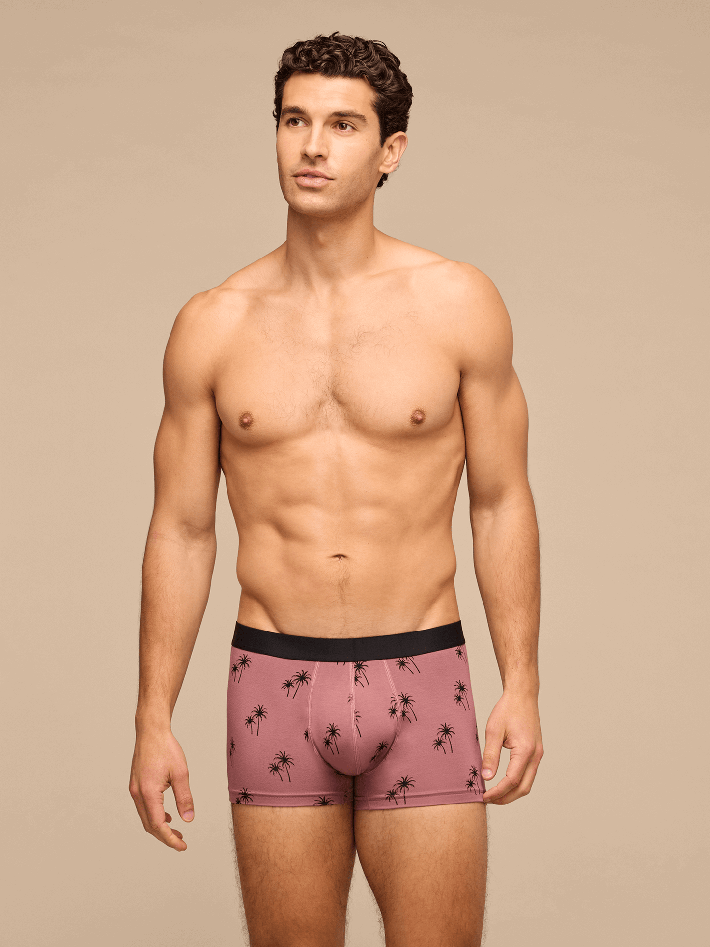 UltraModal™ Core Trunk | Faded Palms