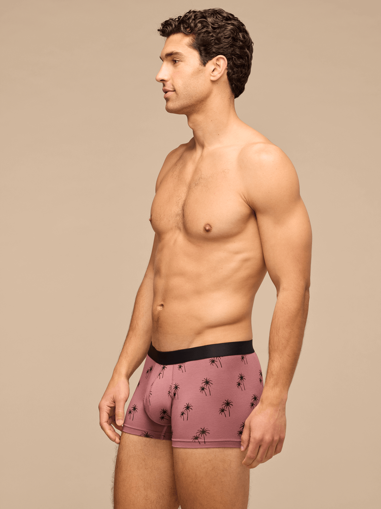 UltraModal™ Core Trunk | Faded Palms