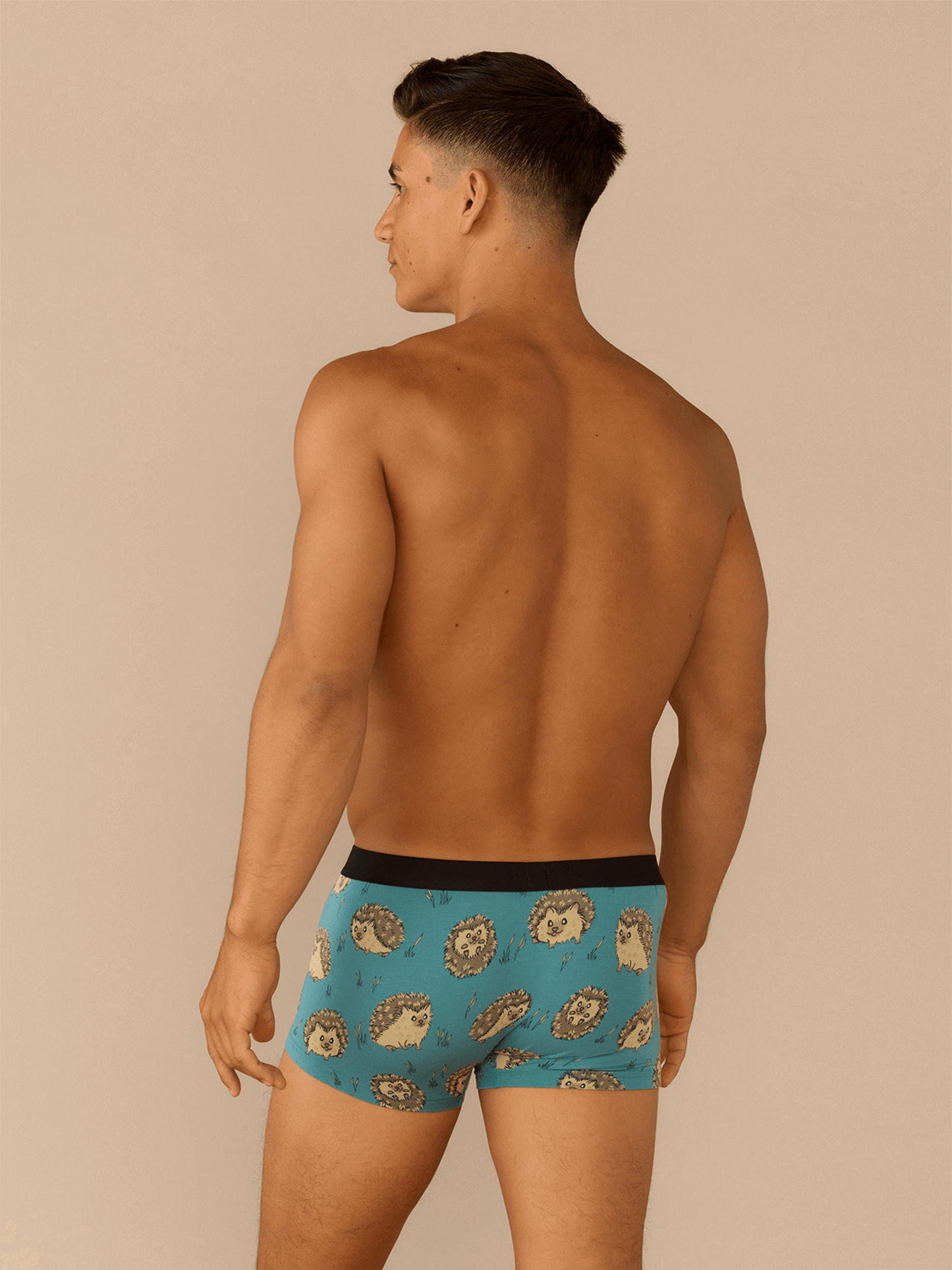 UltraModal™ Core Trunk | Hedgehogs