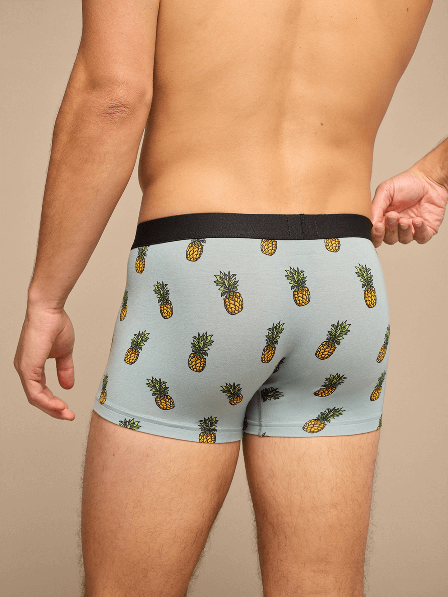 UltraModal™ Core Trunk | Pineapples