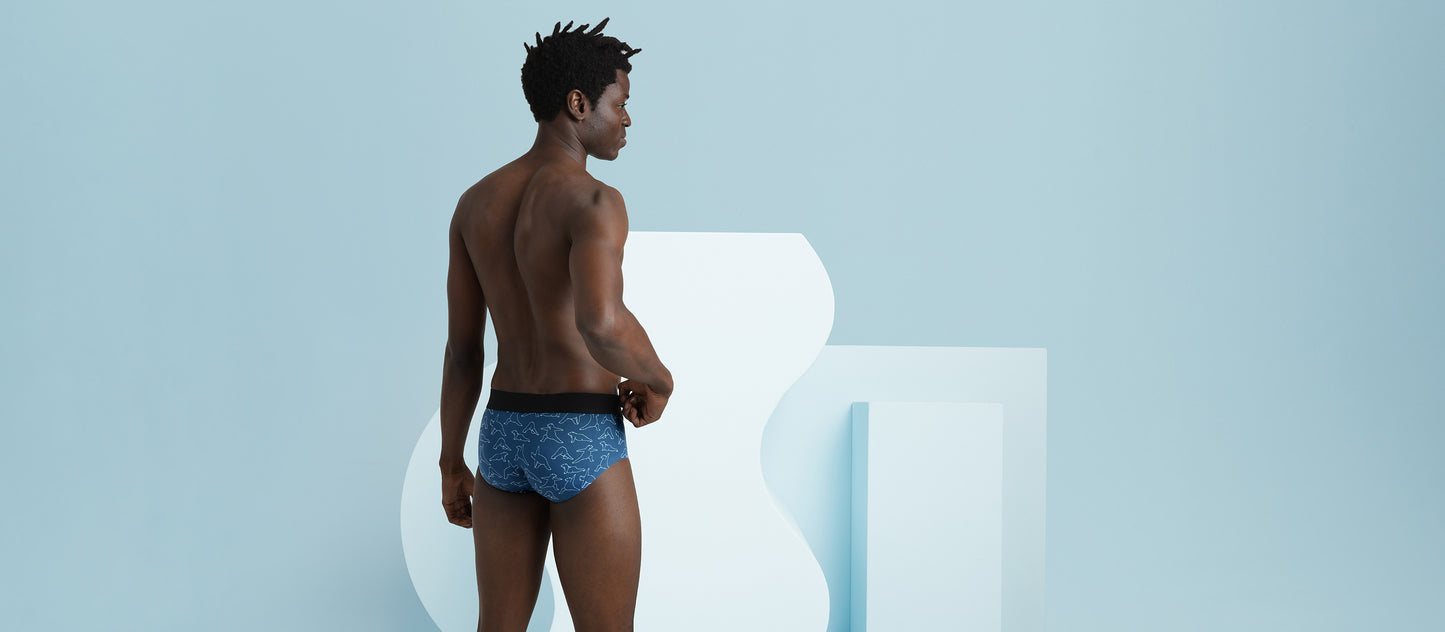 MoveMe Brief | Yoga Bear