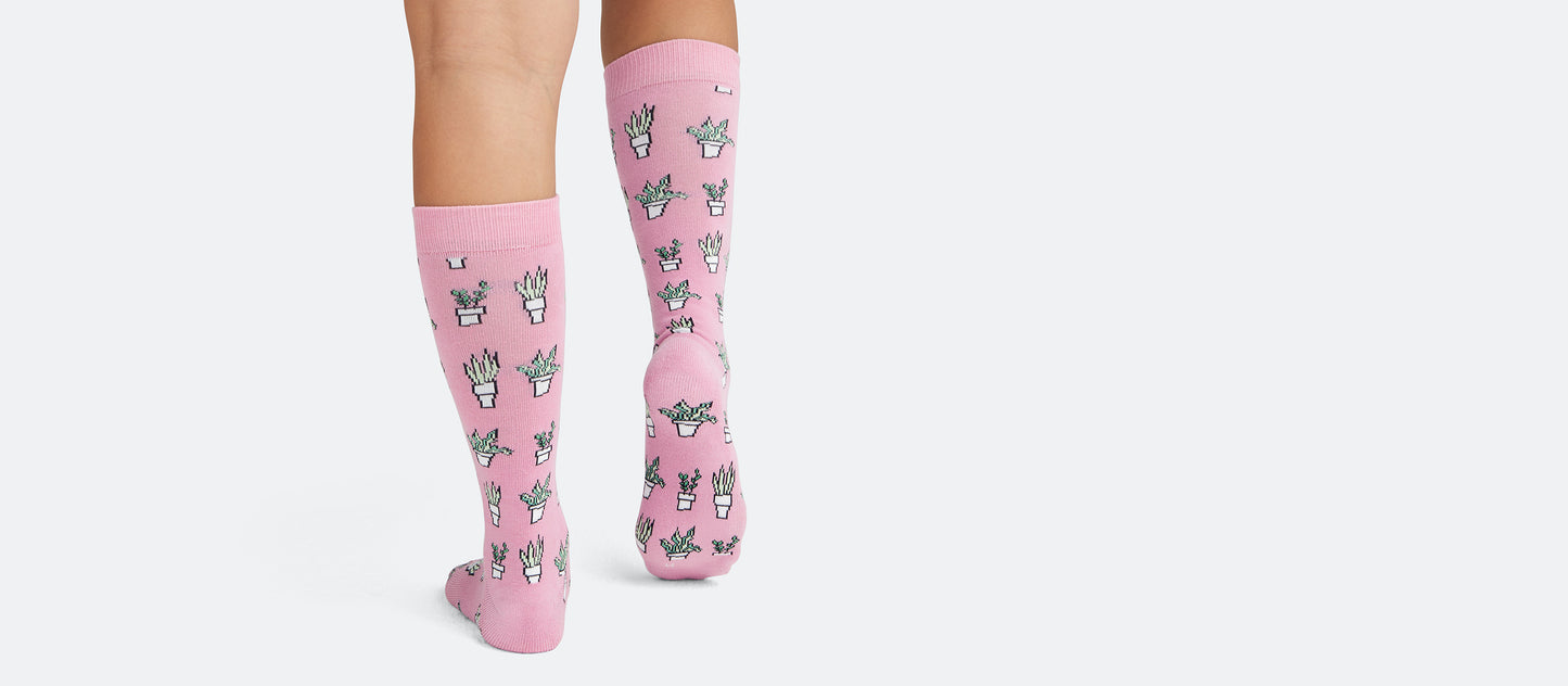 Heritage Crew Sock | Potted