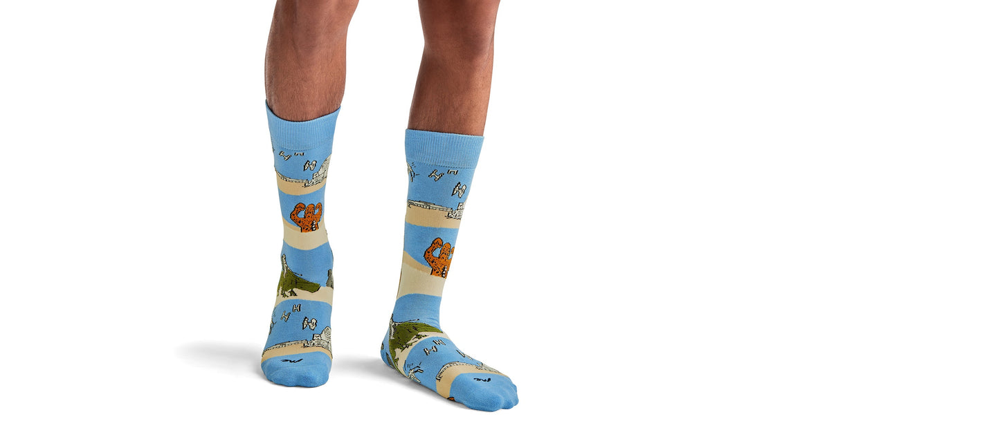 Heritage Crew Sock | Rebel Squadron