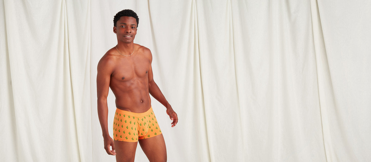 Stretch Cotton Trunk w/ Fly | Saguaro Blossom