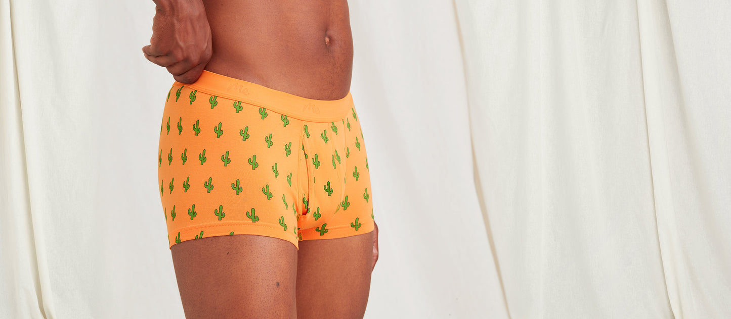 Stretch Cotton Trunk w/ Fly | Saguaro Blossom