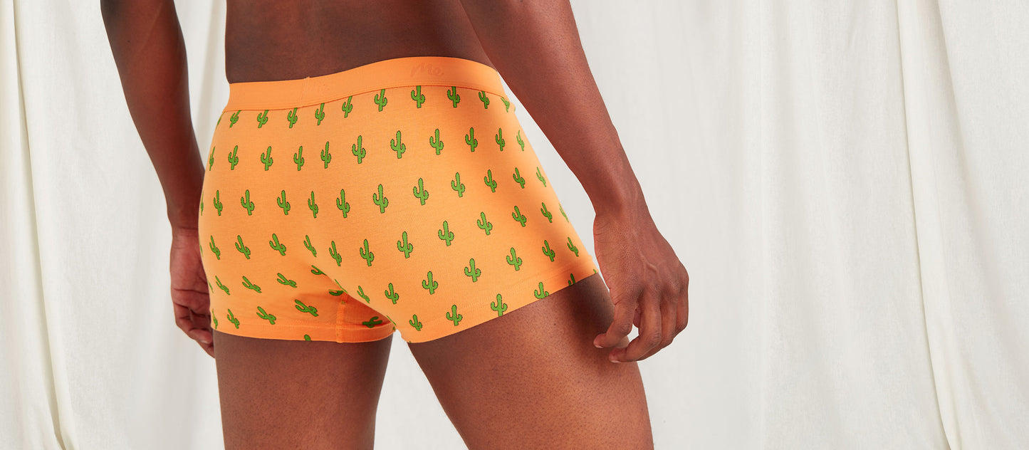 Stretch Cotton Trunk w/ Fly | Saguaro Blossom