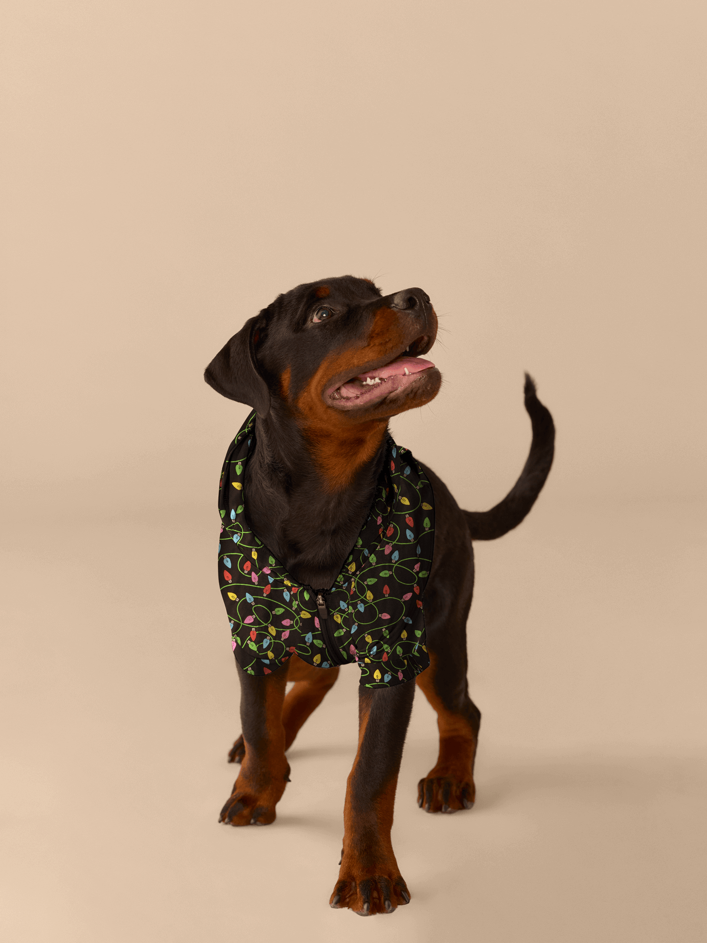 UltraModal™ Dog Hoodie | String Lights