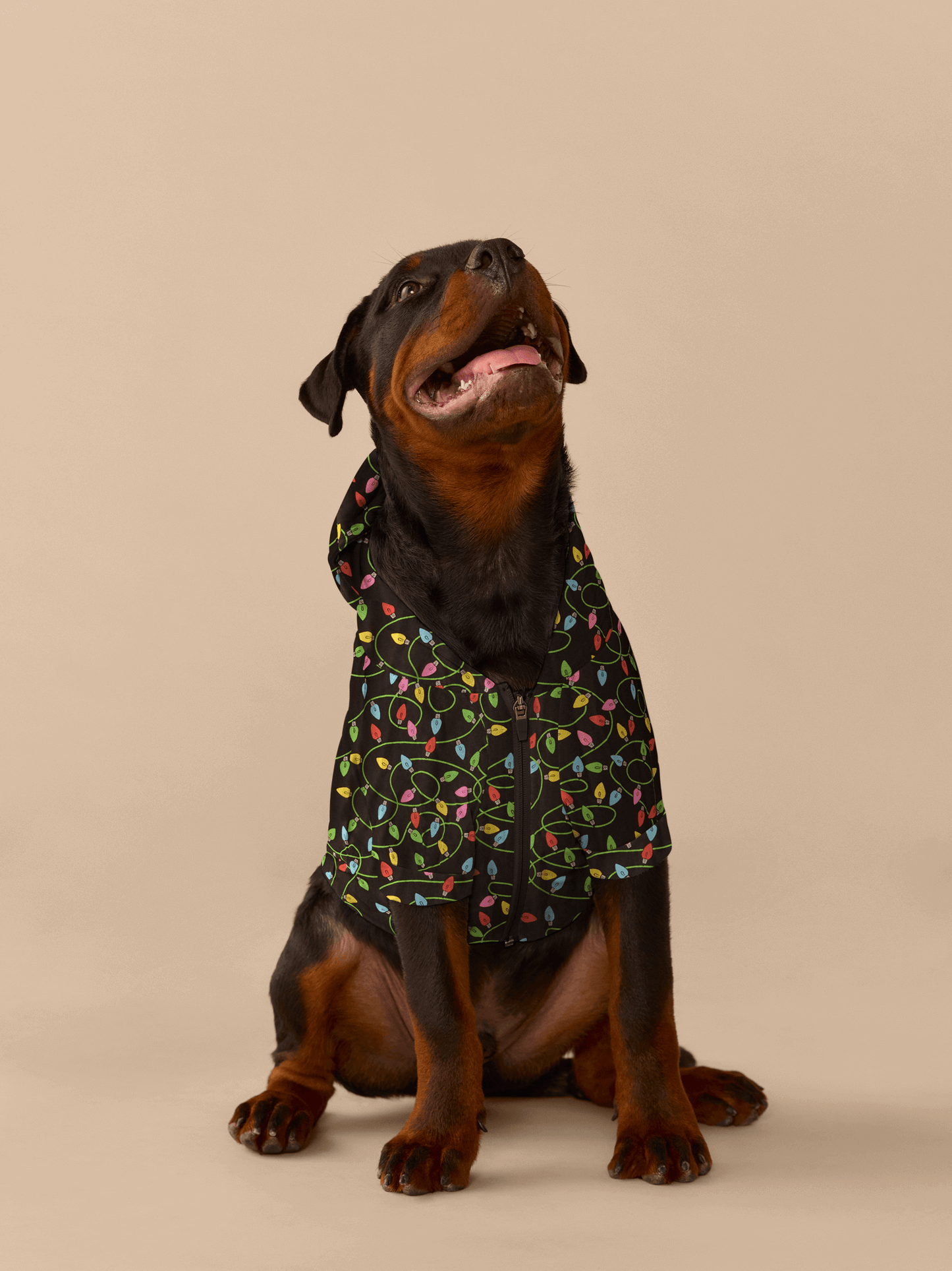 UltraModal™ Dog Hoodie | String Lights