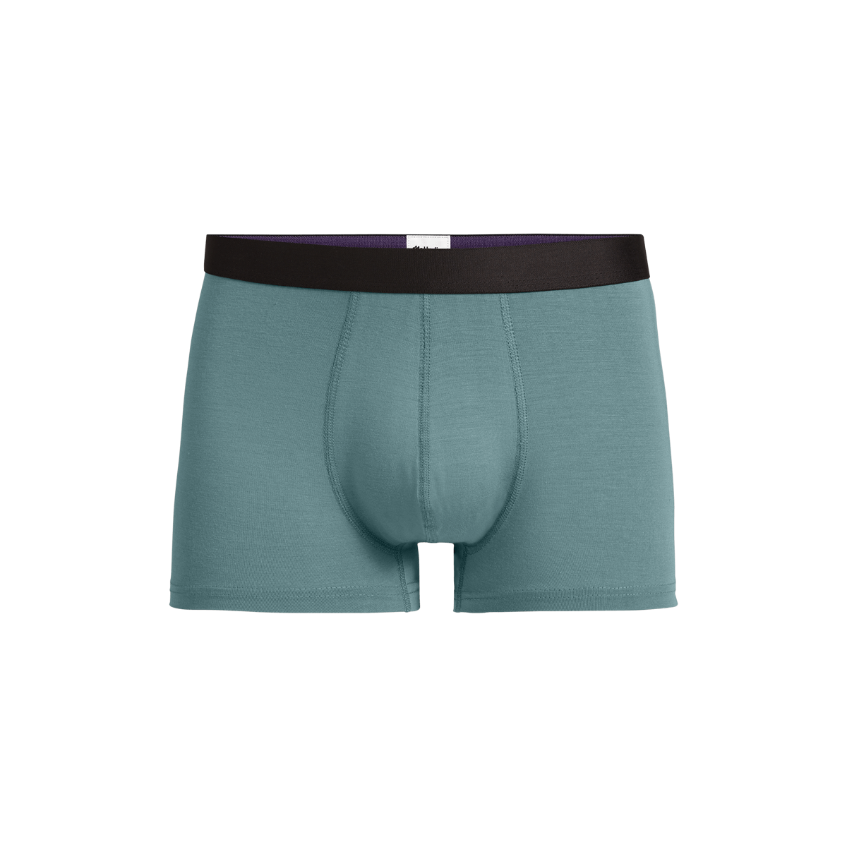 UltraModal™ Core Trunk | Goblin Blue