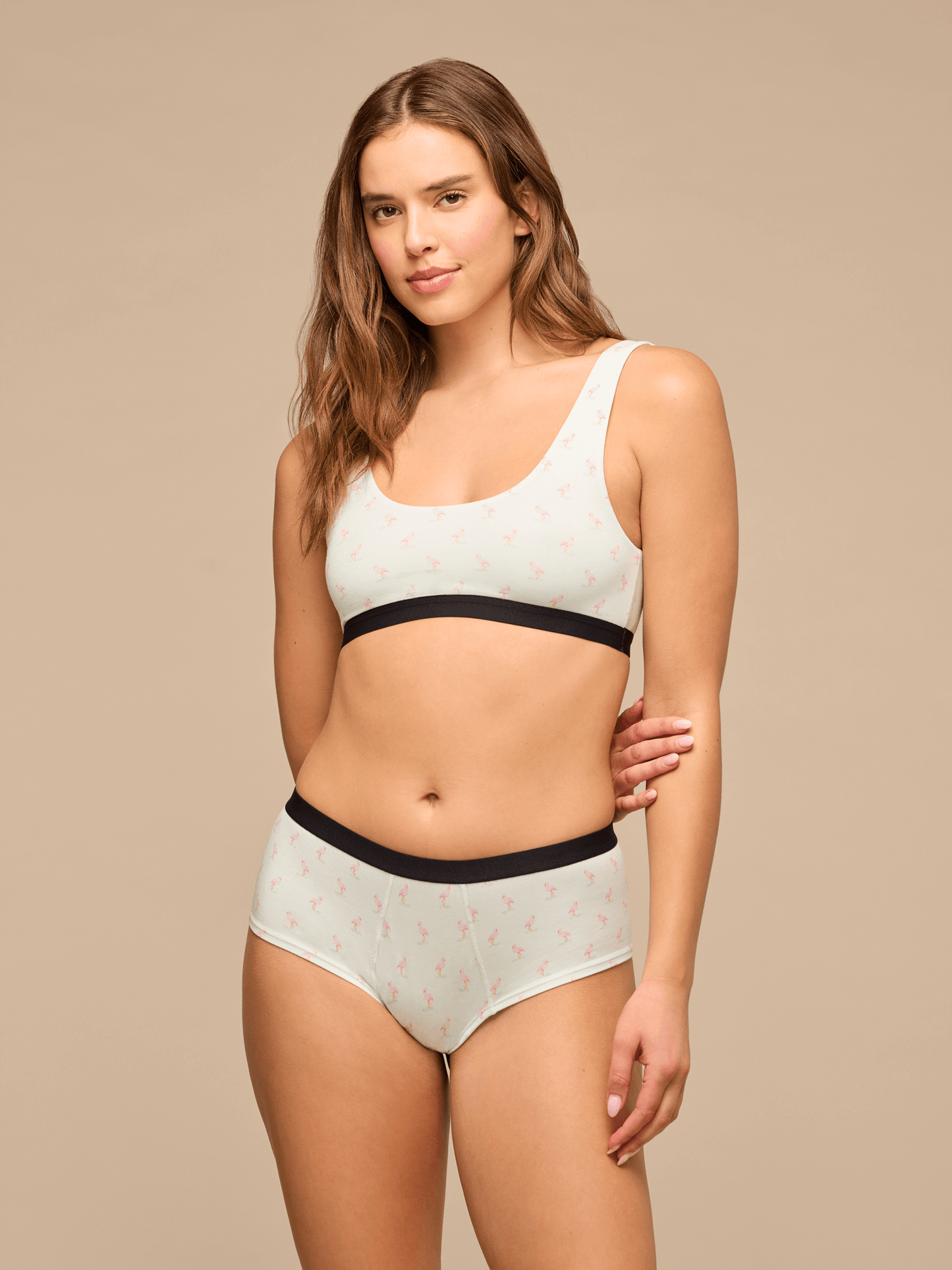 UltraModal™ Core Cheeky Brief | Blue Flamingos