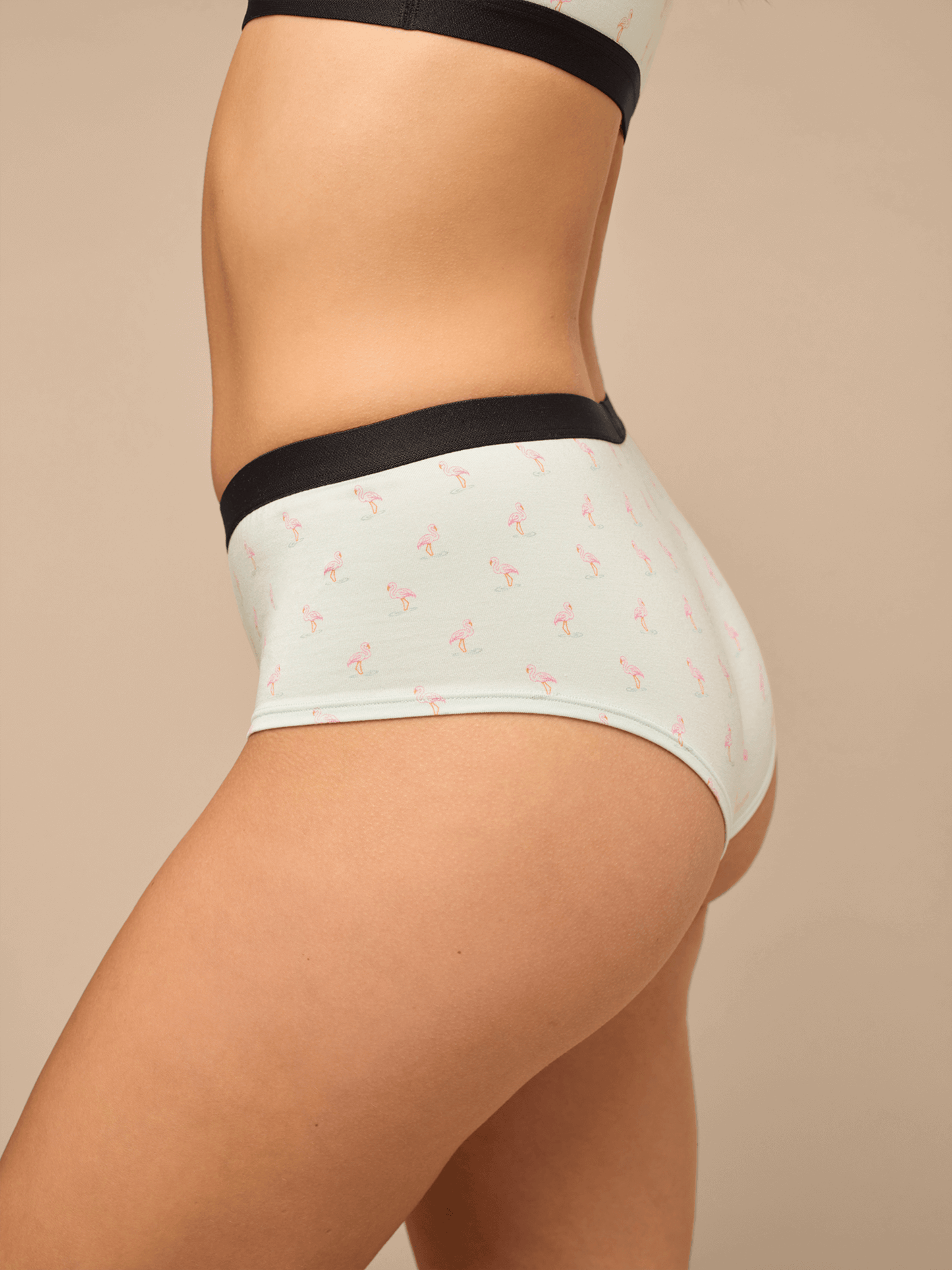 UltraModal™ Core Cheeky Brief | Blue Flamingos