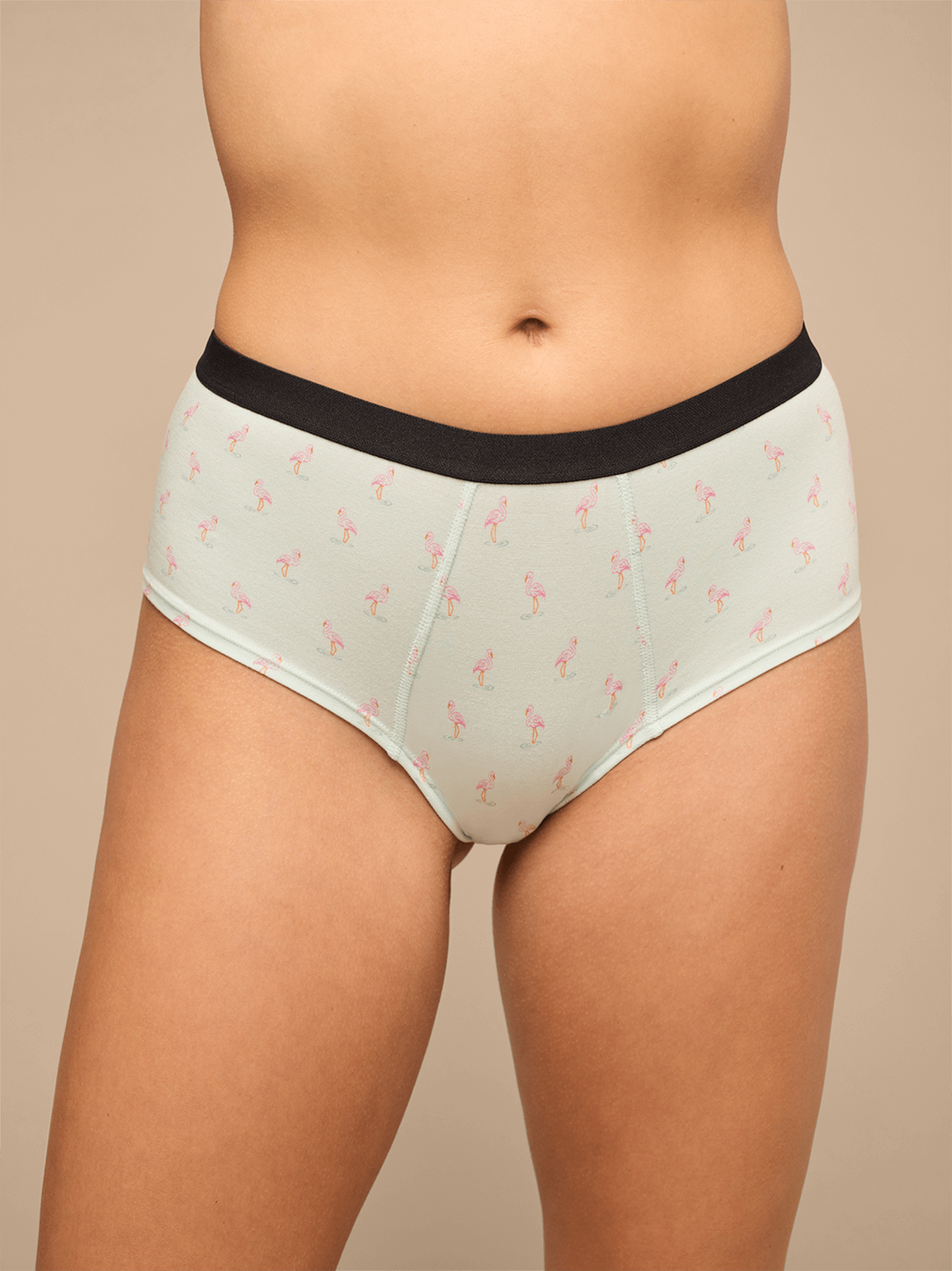 UltraModal™ Core Cheeky Brief | Blue Flamingos