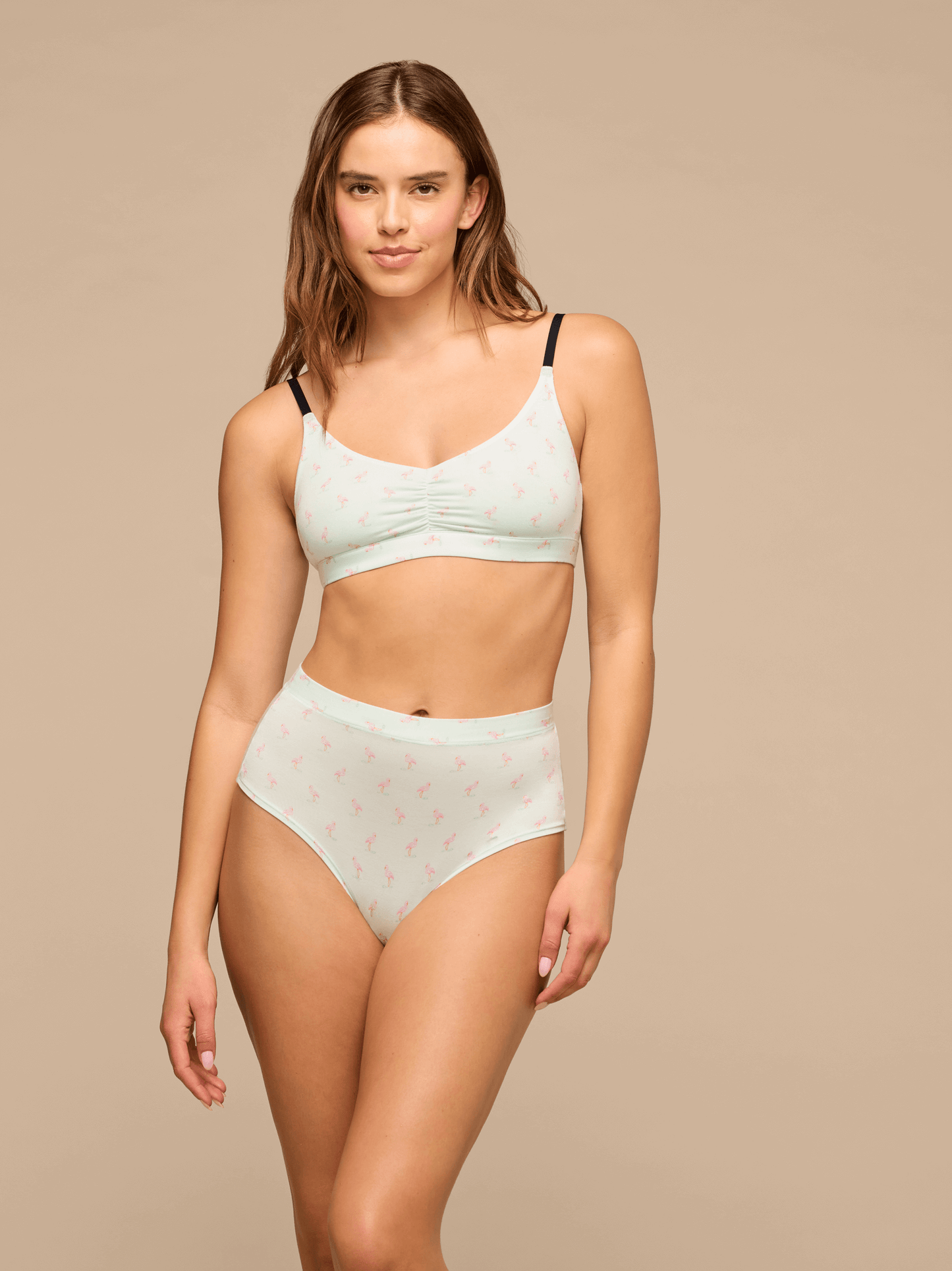 UltraModal™ FeelFree High-Waisted Cheeky | Blue Flamingos