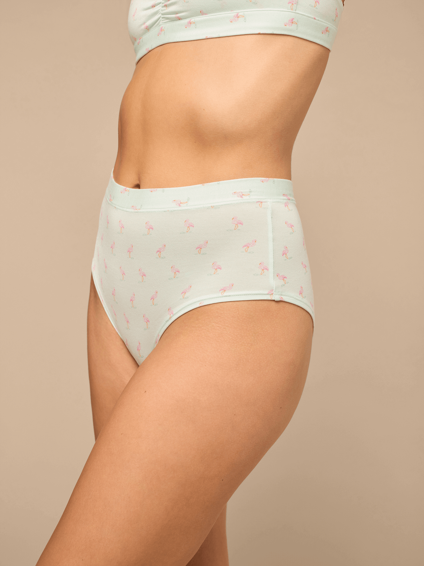 UltraModal™ FeelFree High-Waisted Cheeky | Blue Flamingos