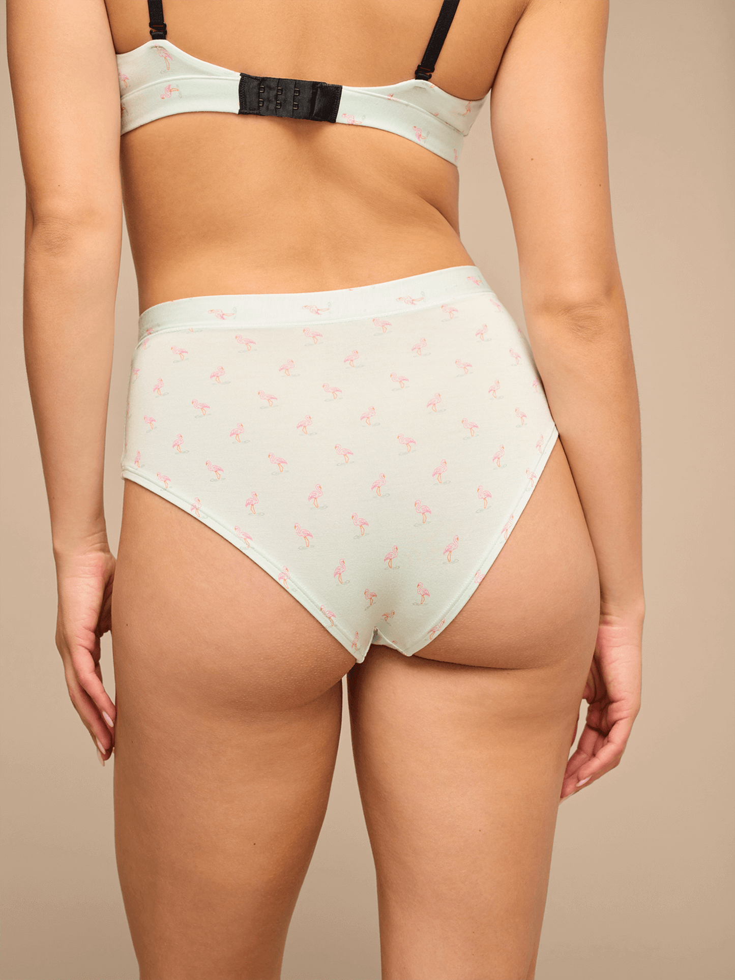 UltraModal™ FeelFree High-Waisted Cheeky | Blue Flamingos