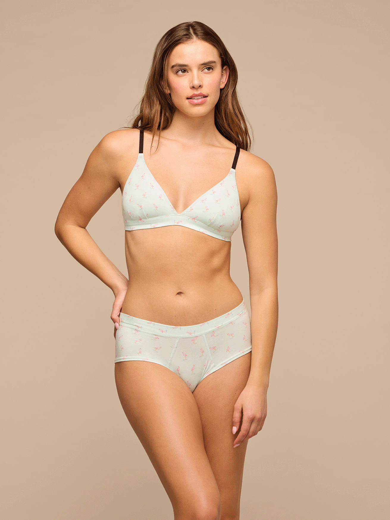 UltraModal™ FeelFree Cheeky Brief | Blue Flamingos