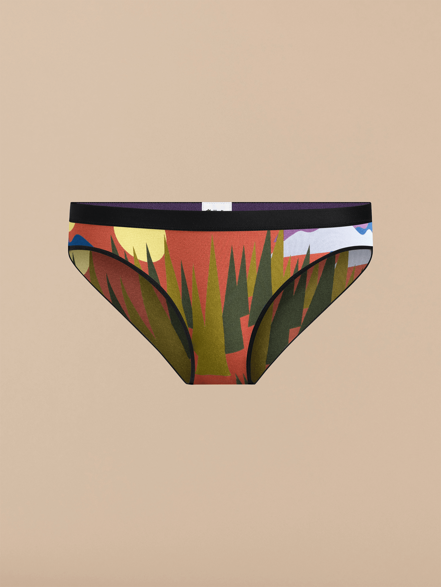 UltraModal™ Core Bikini | Mountain High