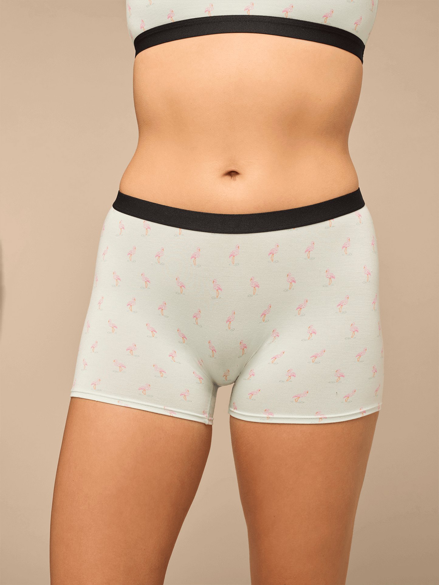 UltraModal™ Core Boyshort | Blue Flamingos