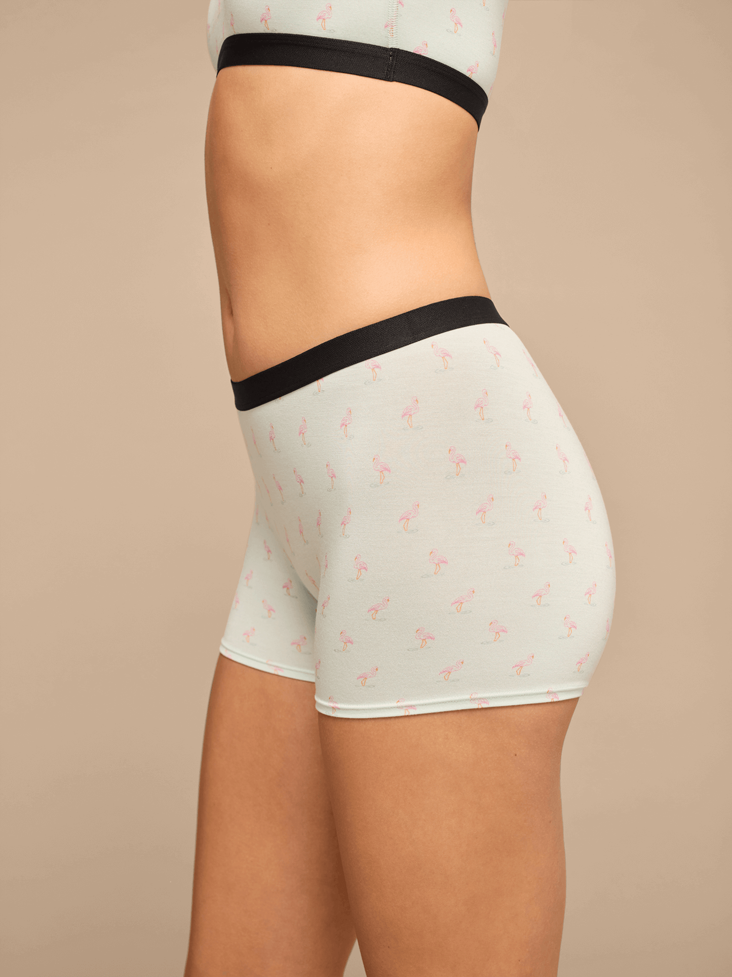UltraModal™ Core Boyshort | Blue Flamingos