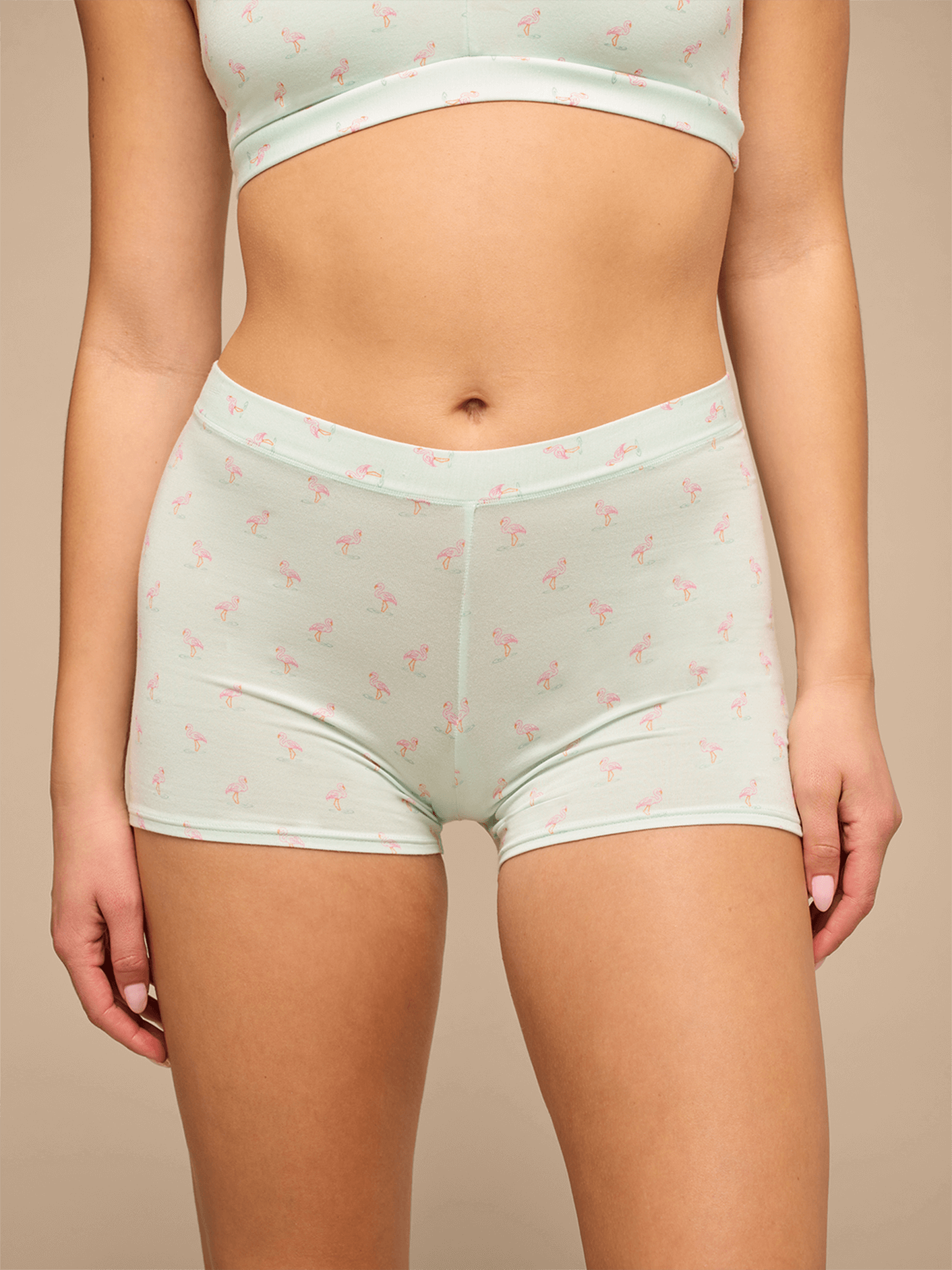 UltraModal™ FeelFree Boyshort | Blue Flamingos