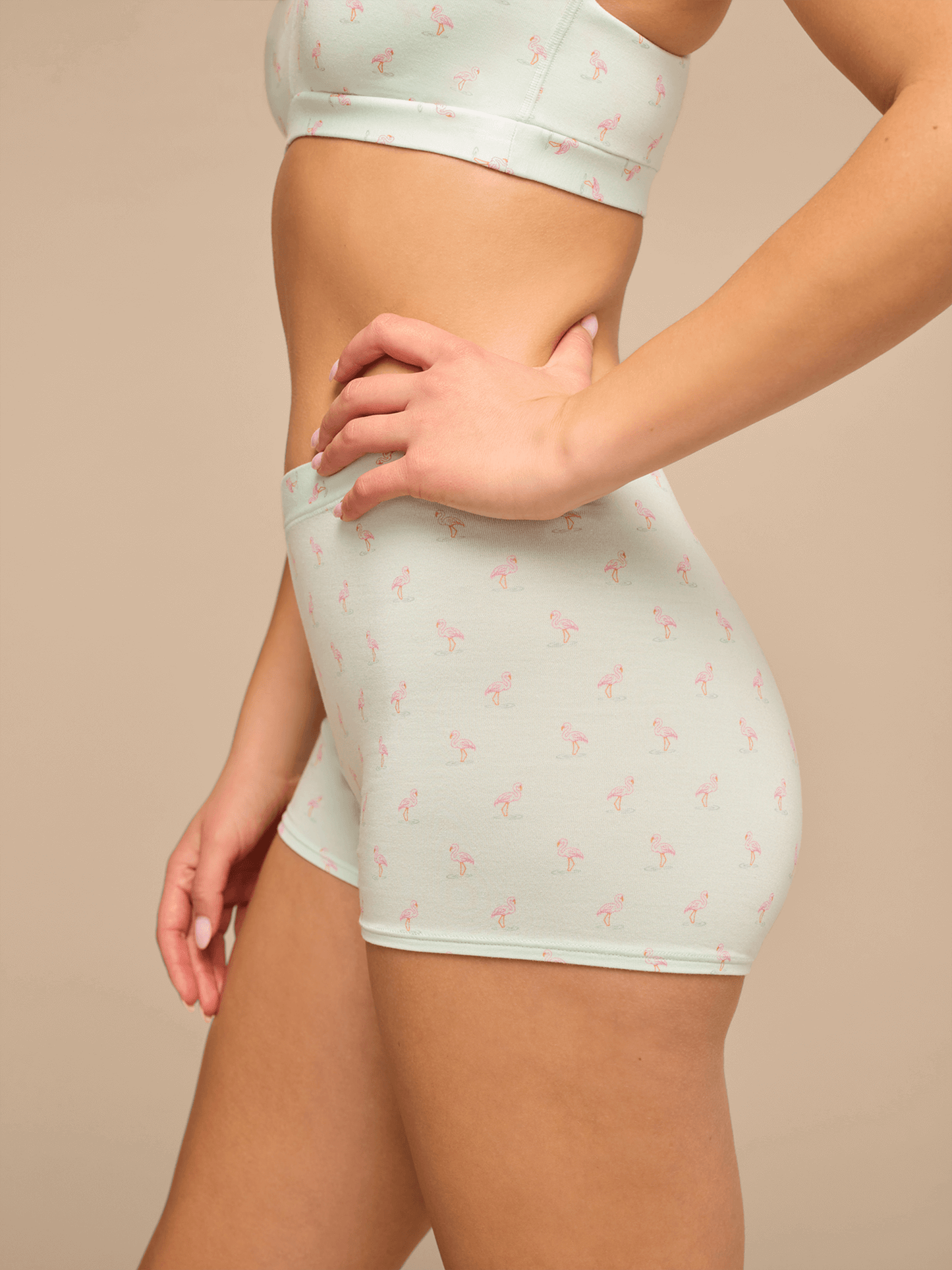 UltraModal™ FeelFree Boyshort | Blue Flamingos