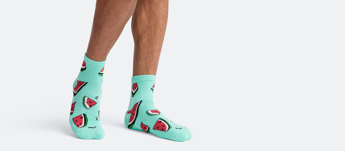 Heritage Quarter Sock | Seed You Later