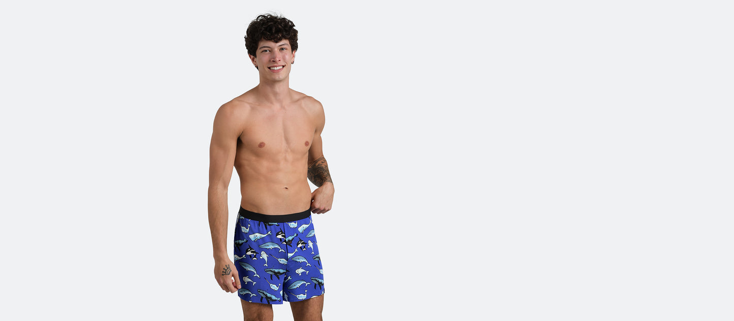 UltraModal™ Core Boxer | Whale Hello There