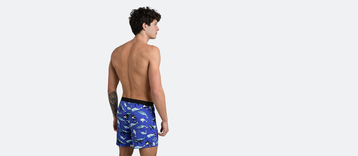UltraModal™ Core Boxer | Whale Hello There