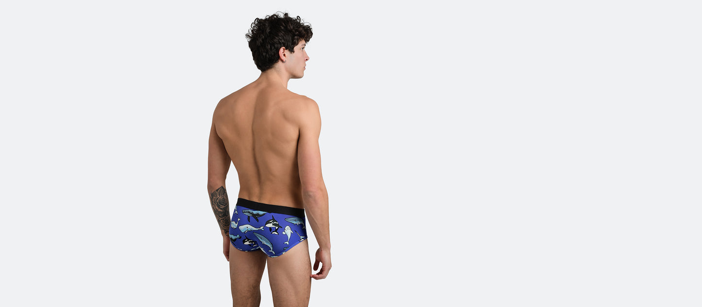 UltraModal™ Core Brief | Whale Hello There