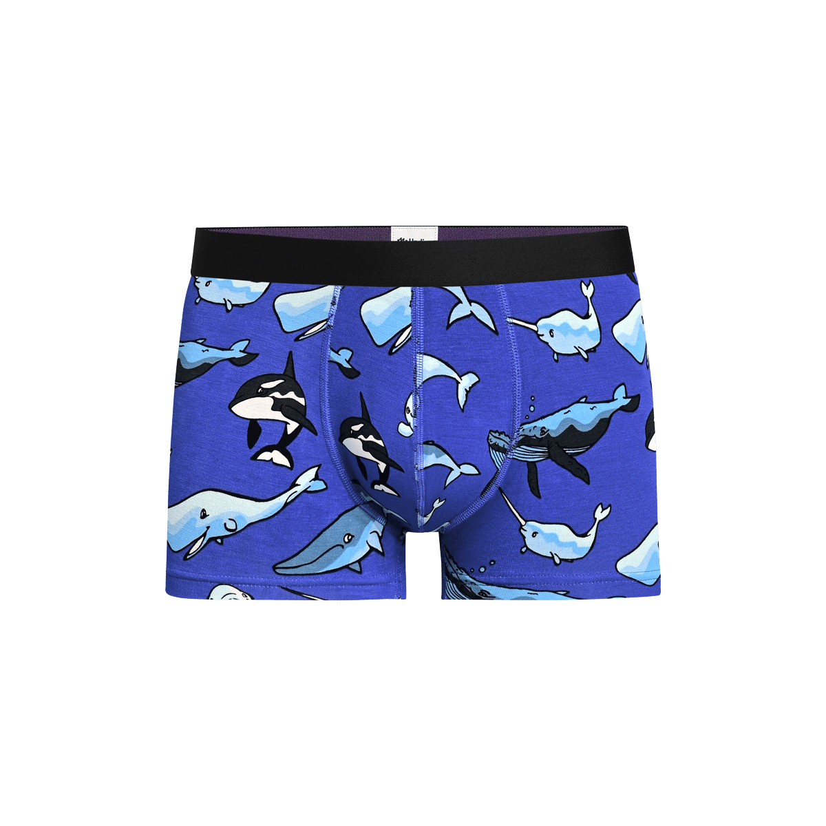 UltraModal™ Core Trunk | Whale Hello There