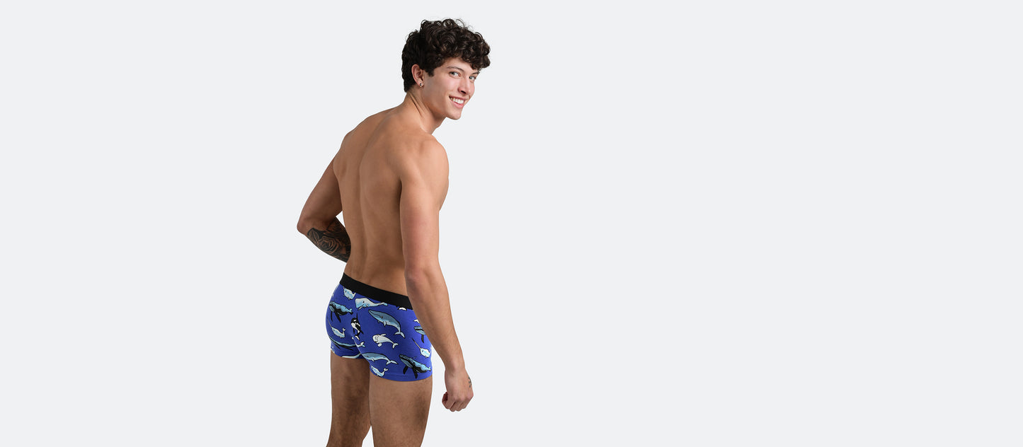 UltraModal™ Core Trunk | Whale Hello There