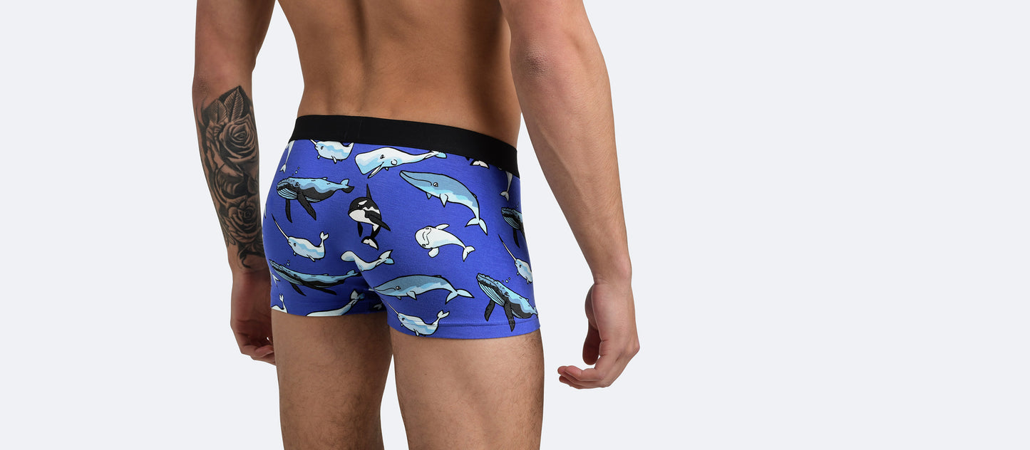 UltraModal™ Core Trunk | Whale Hello There