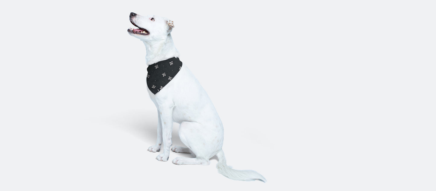 UltraModal™ BuddyBands™ | Tail Lights