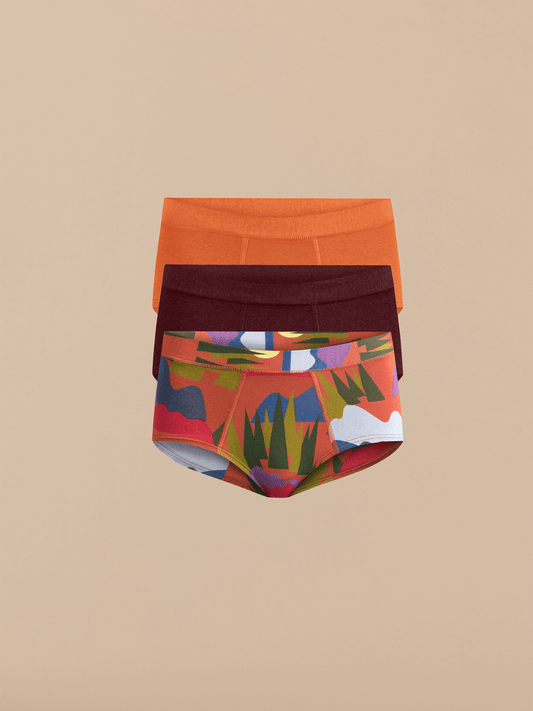 FeelFree Cheeky Brief 3-Pack | Mountain High Pack