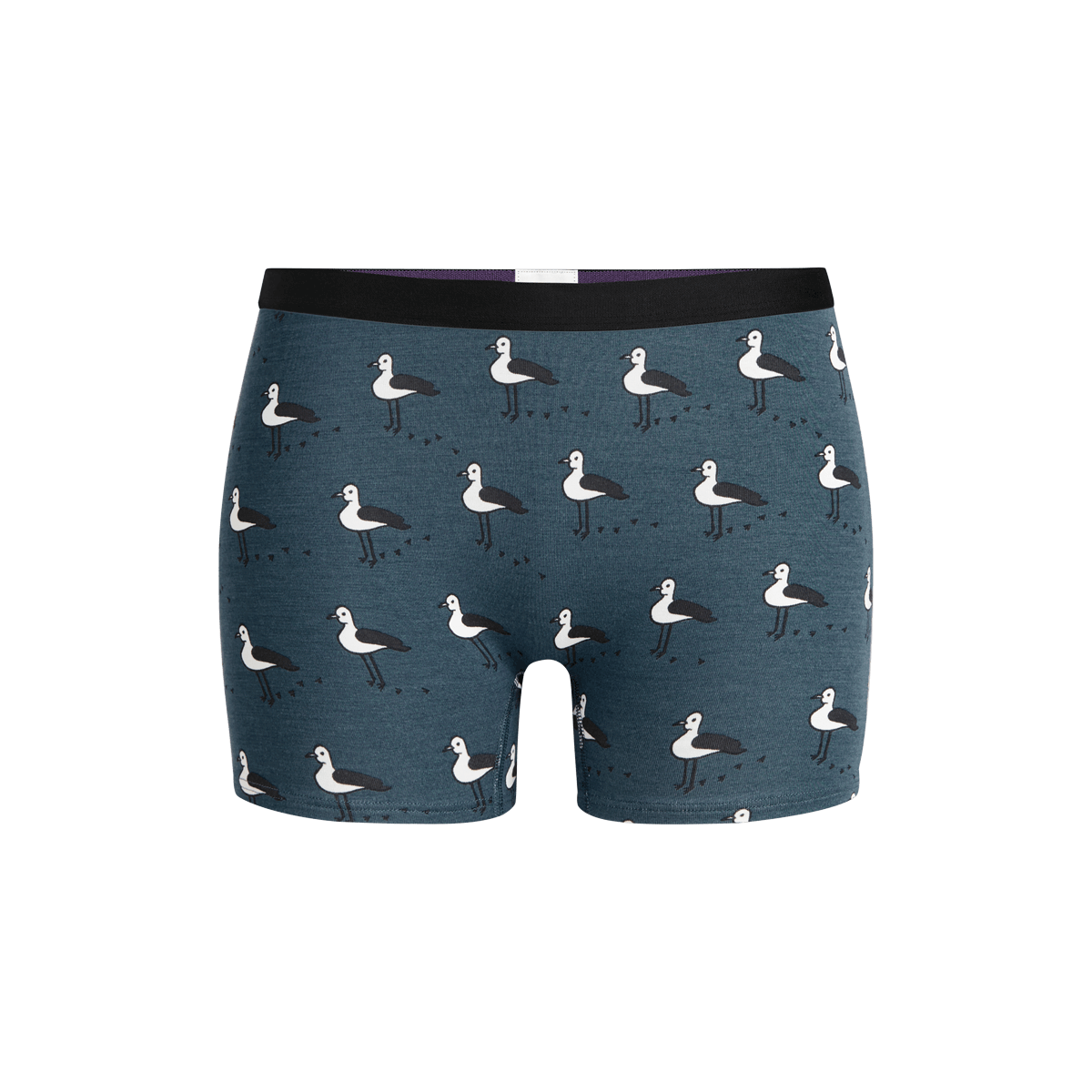 UltraModal™ Core Boyshort | Beach Birds