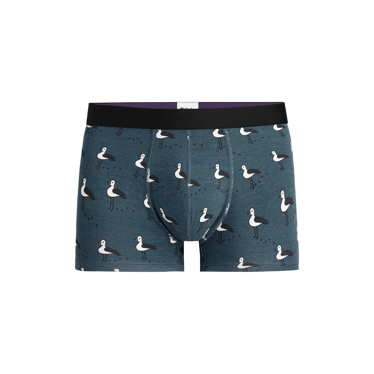 Trunk | Beach Birds