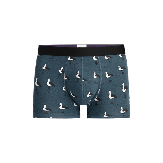 Trunk | Beach Birds