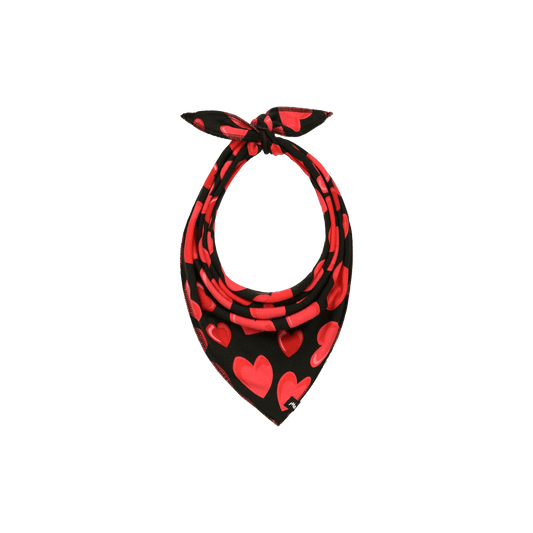 UltraModal™ BuddyBands™  | Racing Hearts