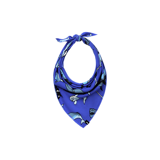 UltraModal™ BuddyBands™  | Whale Hello There