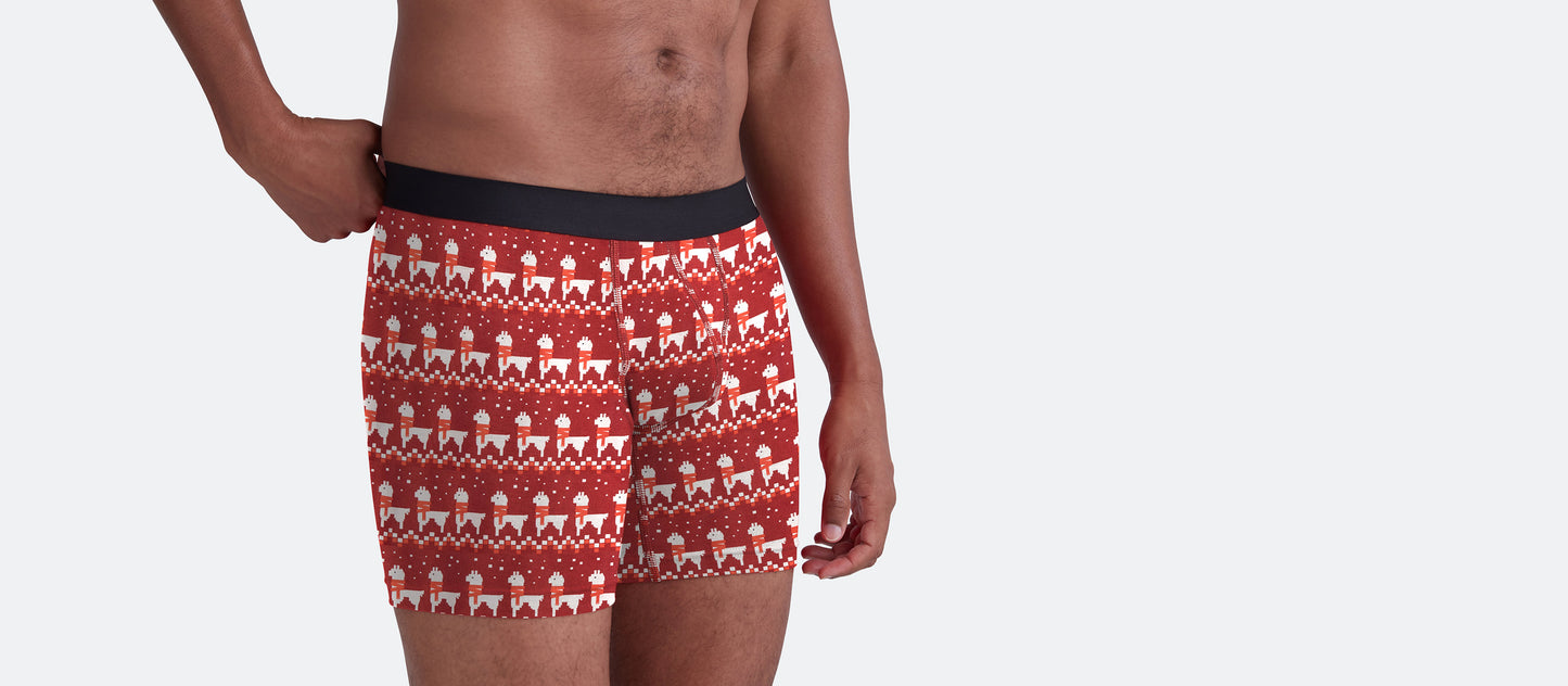 Boxer Brief | Llamarama