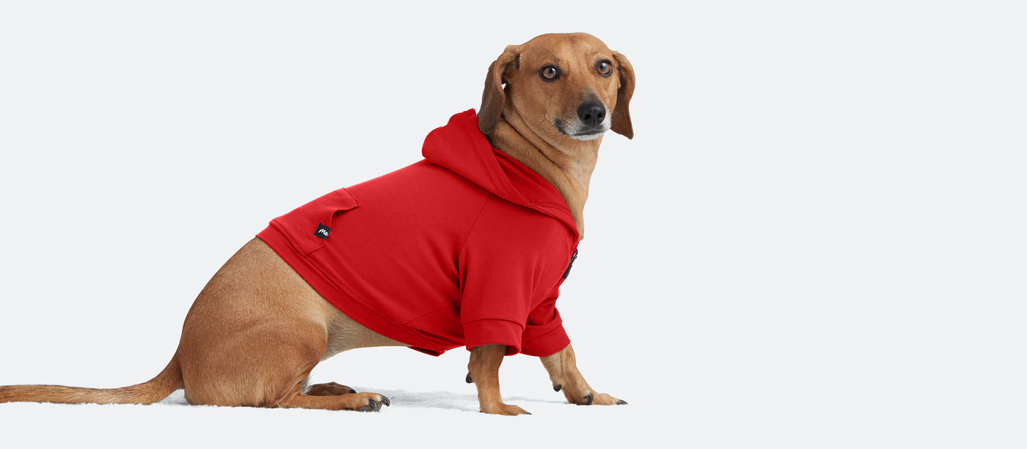 Dog Hoodie | Candy Apple