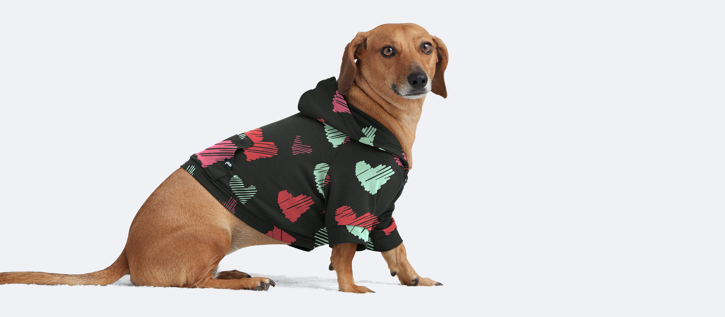 UltraModal™ Dog Hoodie | Drawn to You